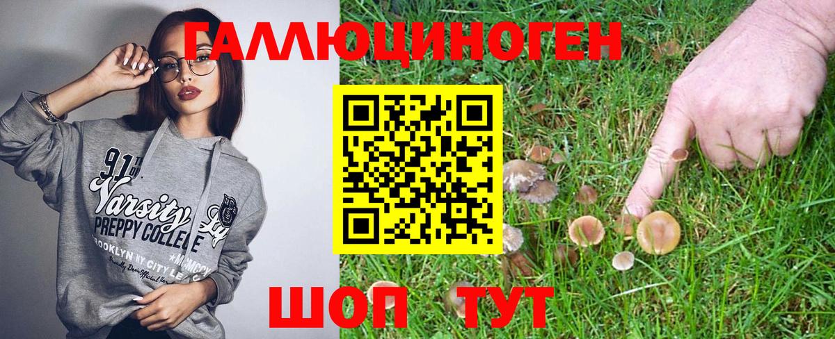 Псилоцибиновые грибы ЛСД Егорьевск