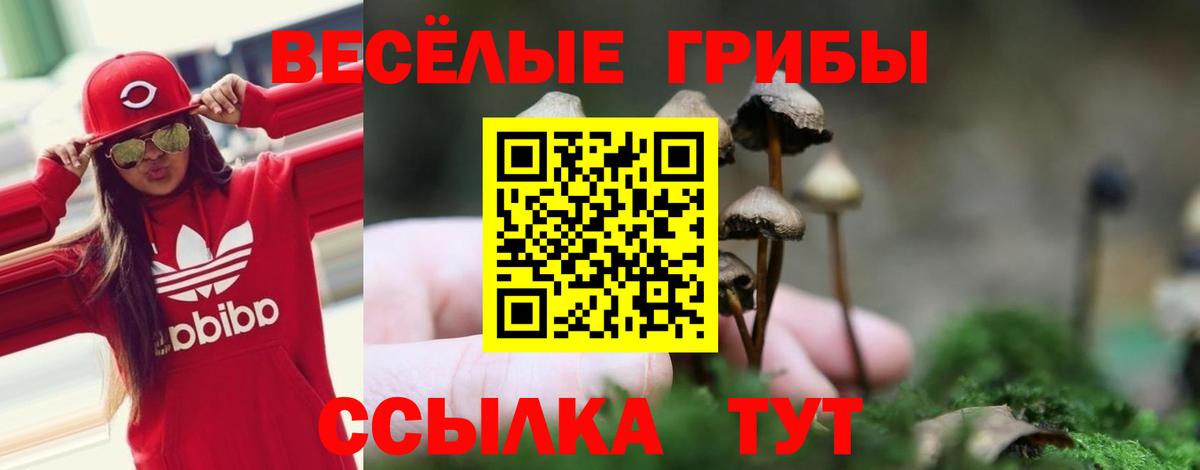 Егорьевск  Галлюциногенные грибы GOLDEN TEACHER  Галлюциногенные грибы мицелий  Вход с VPN 