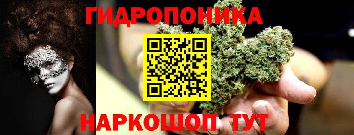 Канабис Ganja  Бошки Шишки план  Егорьевск  Вход с VPN  Конопля сатива 